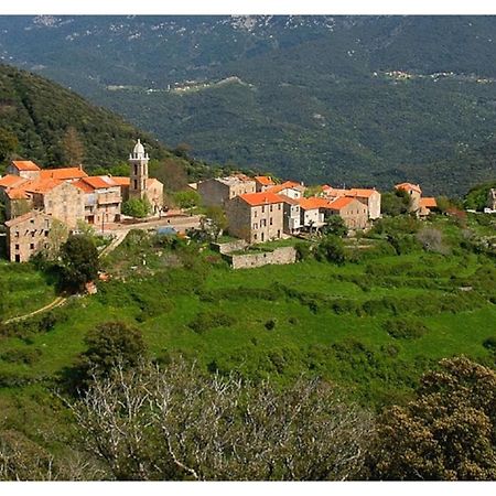Villa Casadimela Porto Vecchio Esterno foto